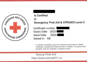 EMERGENCY First Aid Course (BLENDED) w/ CPR/AED - CSA Standard Z1210-17 Basic
