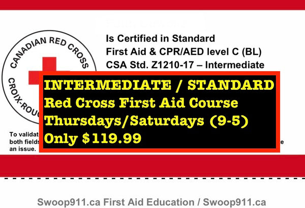 INTERMEDIATE / STANDARD First Aid w/CPR/AED C Course (blended)