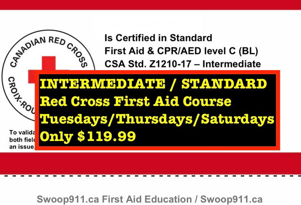 INTERMEDIATE / STANDARD First Aid Level C Course (Blended)