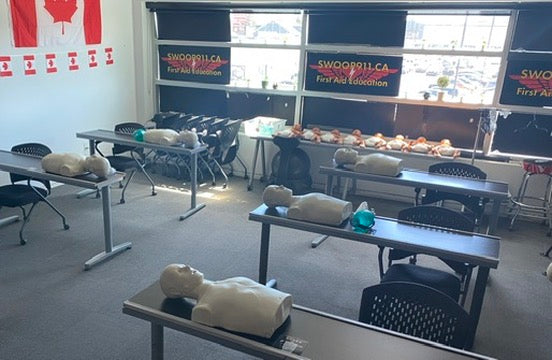 INTERMEDIATE / STANDARD First Aid Level C Course (Blended)