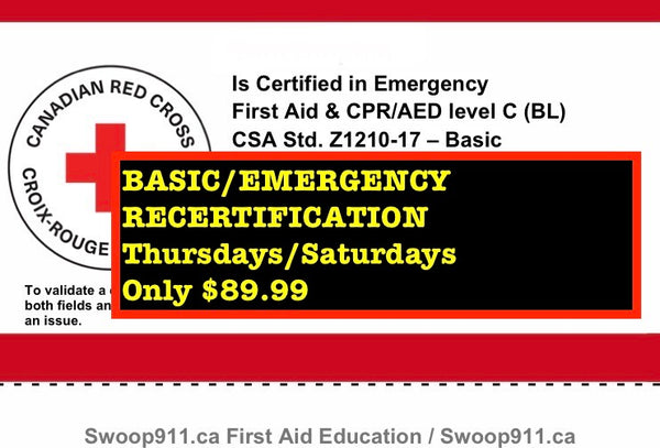RECERTIFICATION for BASIC / EMERGENCY First Aid Level C Course (blended)