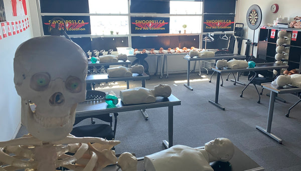 BLS PROVIDER Course (blended)