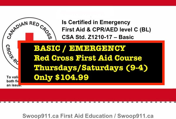 BASIC / EMERGENCY First Aid Level C Course (blended)