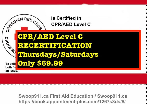 RECERTIFICATION for Red Cross CPR/AED  C (blended)