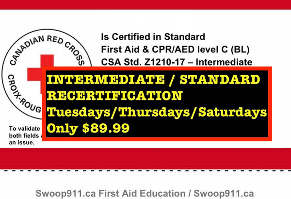 RECERTIFICATION for INTERMEDIATE / STANDARD First Aid Level C Course (blended)