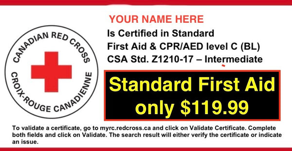 STANDARD FIRST AID COURSE (BL) CSA Standard Z1210-17 INTERMEDIATE