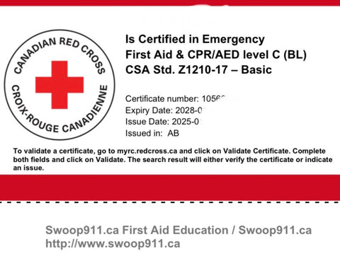 EMERGENCY First Aid Course (BLENDED) w/ CPR/AED - CSA Standard Z1210-17 Basic