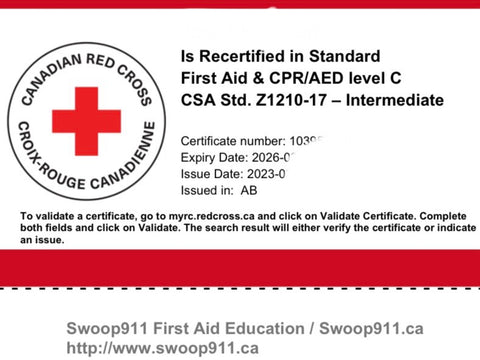STANDARD First Aid RECERT (BLENDED) w/ CPR/AED