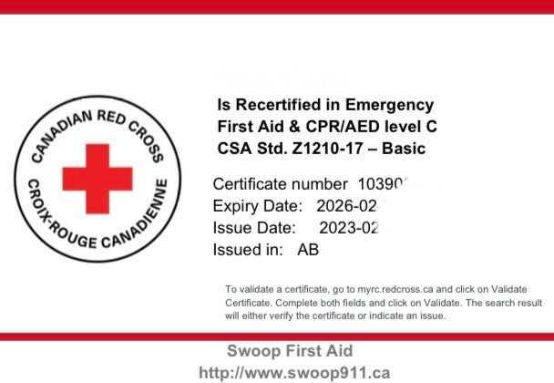 EMERGENCY First Aid RECERT (BLENDED) w/ CPR/AED