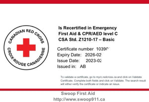 EMERGENCY First Aid RECERT (BLENDED) w/ CPR/AED