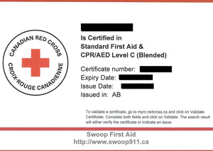 STANDARD First Aid RECERT (BLENDED) w/ CPR/AED
